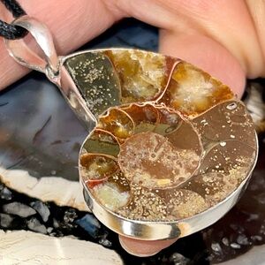 “Leadership & Guidance Stone” Ammonite Pendant 2”